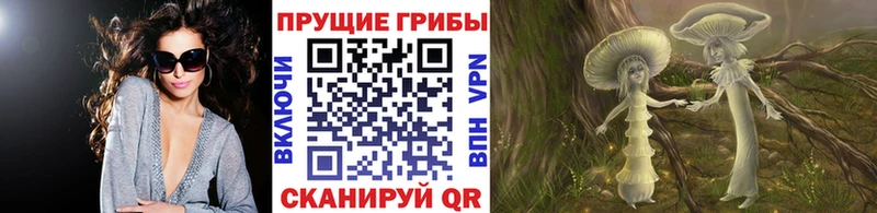 Галлюциногенные грибы MAGIC MUSHROOMS  сколько стоит  Чадан 